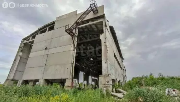 Участок в Новосибирский район, Станционный сельсовет, посёлок Садовый ... - Фото 2