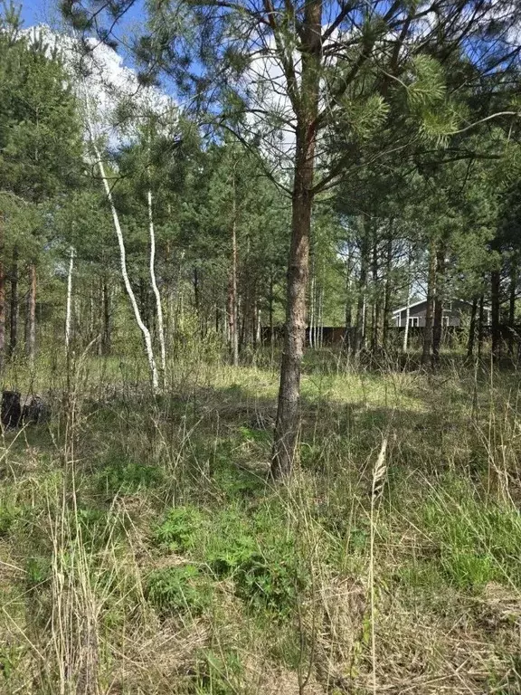 Участок в Владимирская область, Суздальский район, Боголюбовское ... - Фото 1