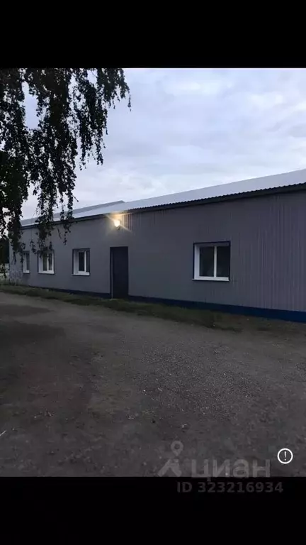 Помещение свободного назначения в Воронежская область, Грибановский ... - Фото 1