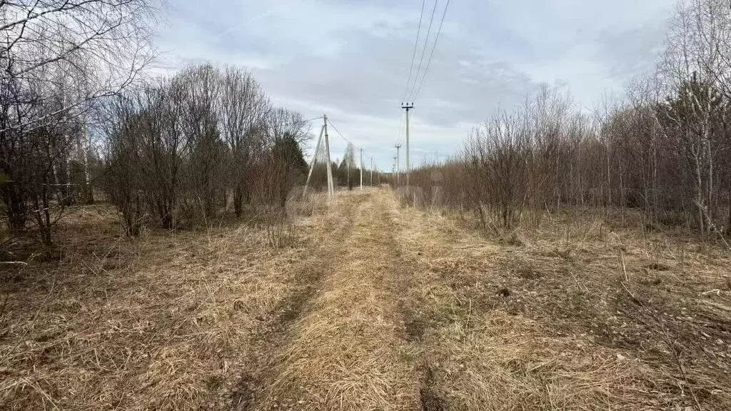 Участок в Кемеровский муниципальный округ, село Силино (15 м) - Фото 0