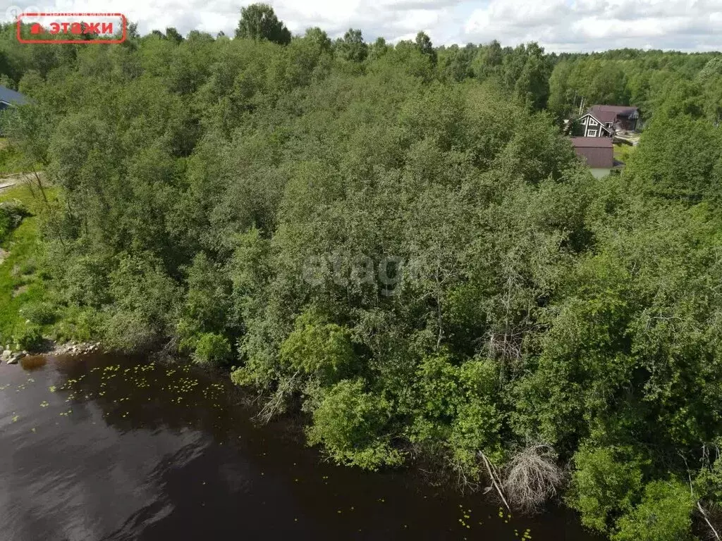 Участок в Пряжинский район, село Святозеро (14 м) - Фото 1