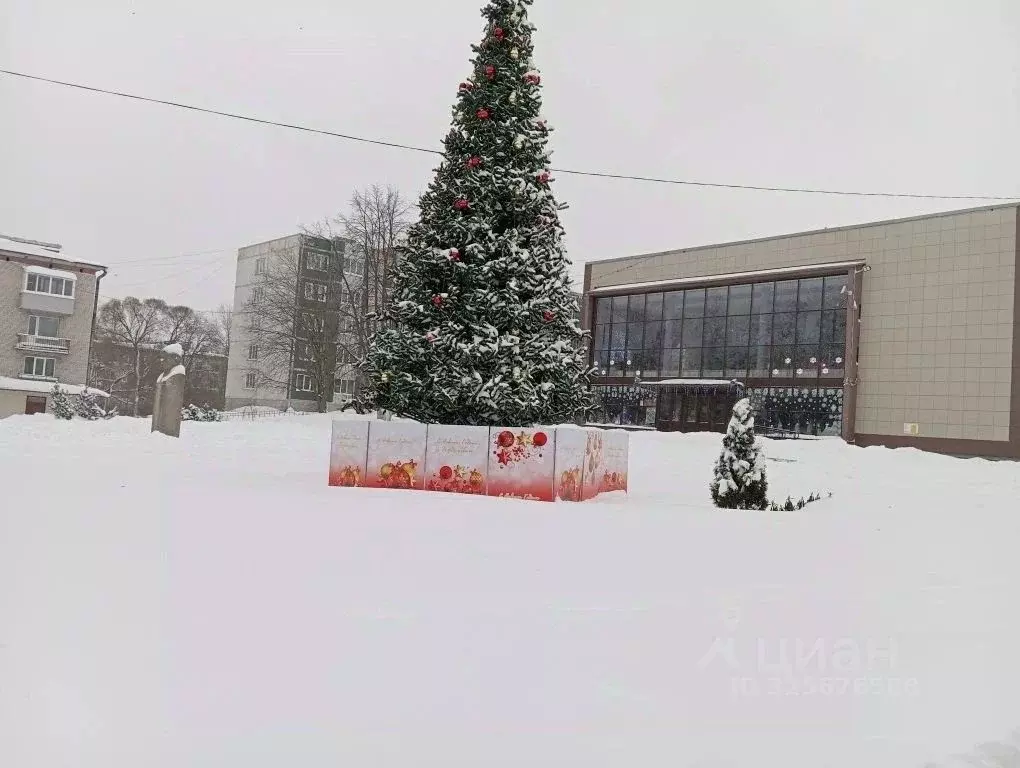2-к кв. Ленинградская область, Приозерский район, Кузнечное пгт ... - Фото 2