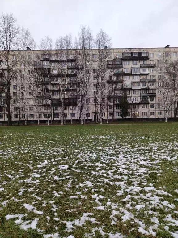 Свободной планировки кв. Санкт-Петербург ул. Замшина, 25К2 (49.3 м) - Фото 2