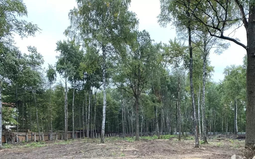 Участок в Московская область, Химки Новогорск мкр,  (15.0 сот.) - Фото 1