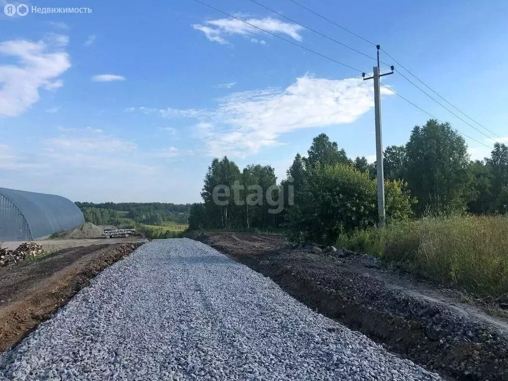 Участок в Новосибирский район, село Раздольное (100 м) - Фото 0