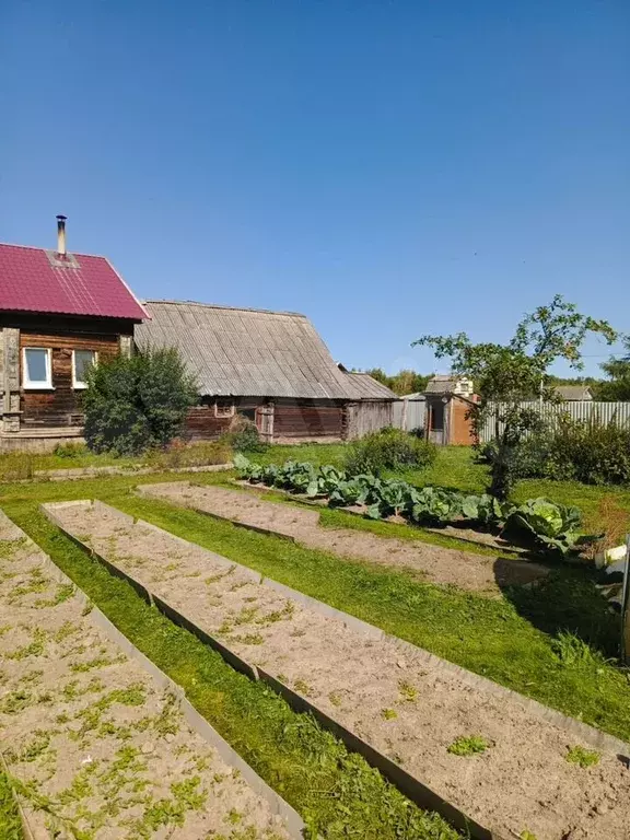 Дом 86,1 м на участке 47 сот. - Фото 1