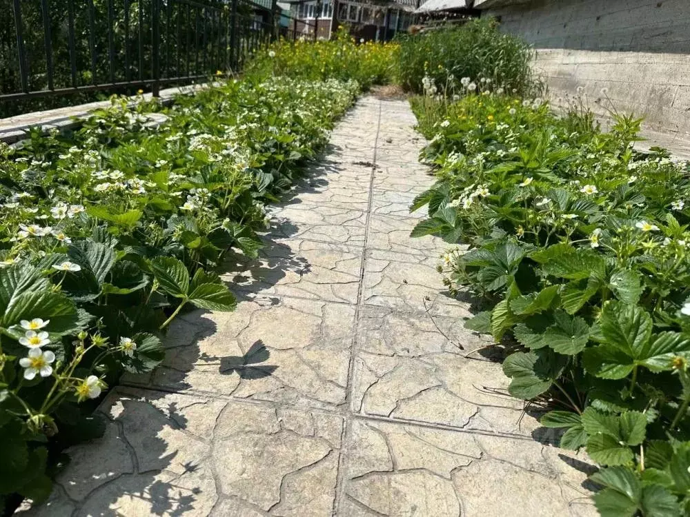Дом в Иркутская область, Иркутск  (93 м) - Фото 1