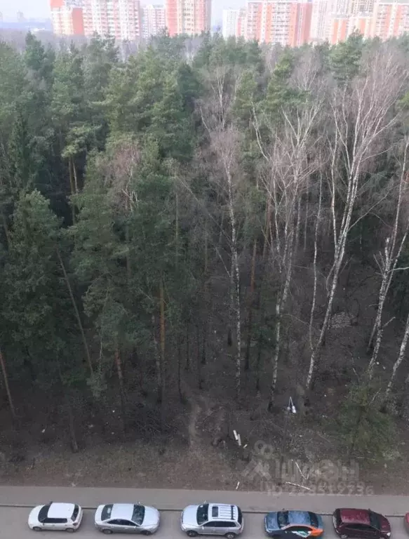 2-к кв. Московская область, Балашиха Изумрудный кв-л, 11 (64.0 м) - Фото 2