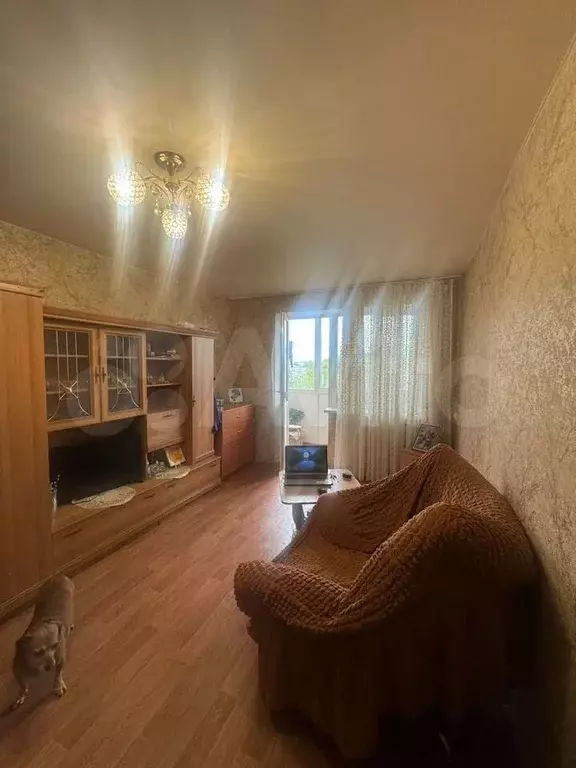 1-к. квартира, 31 м, 2/5 эт. - Фото 0