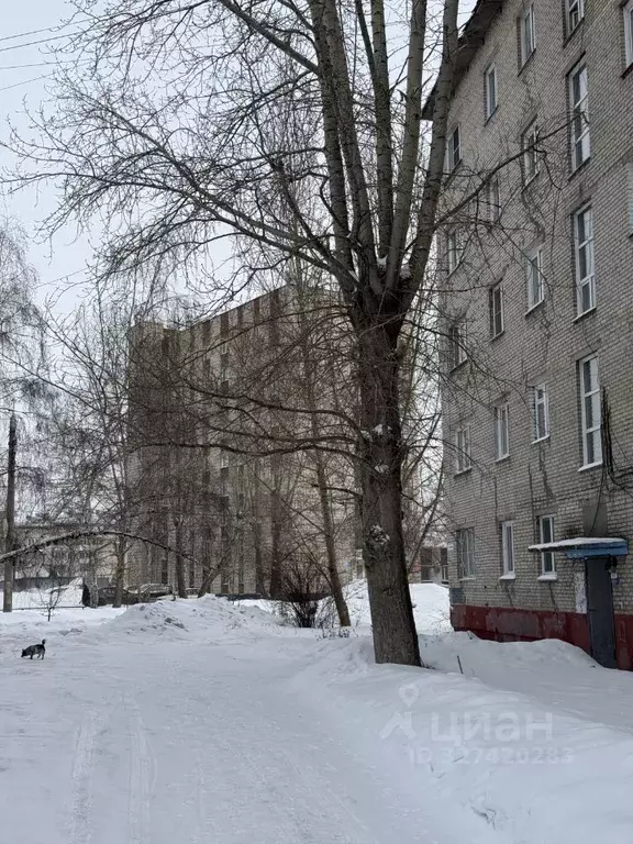 Студия Алтайский край, Барнаул ул. Юрина, 257/13 (12.6 м) - Фото 2