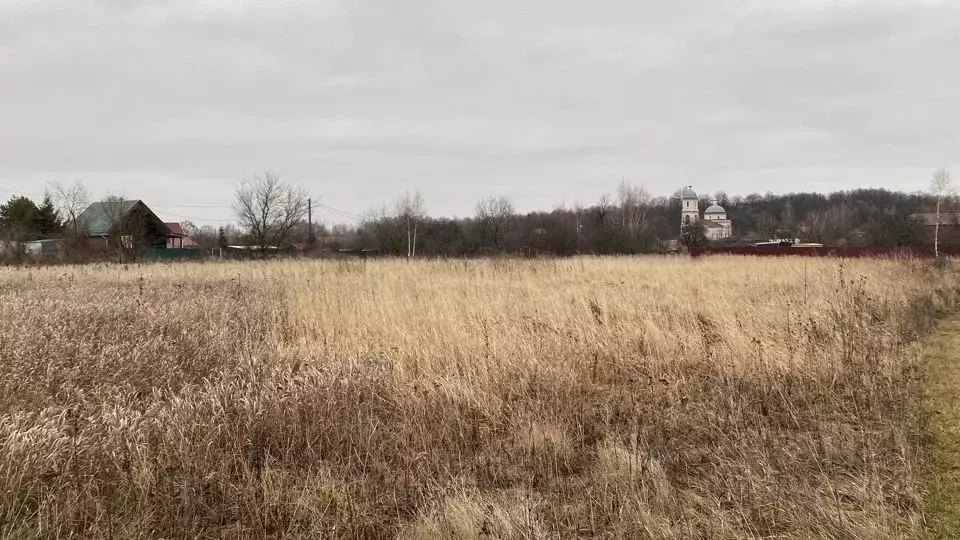 Участок в Московская область, Кашира городской округ, д. Стародуб  ... - Фото 0