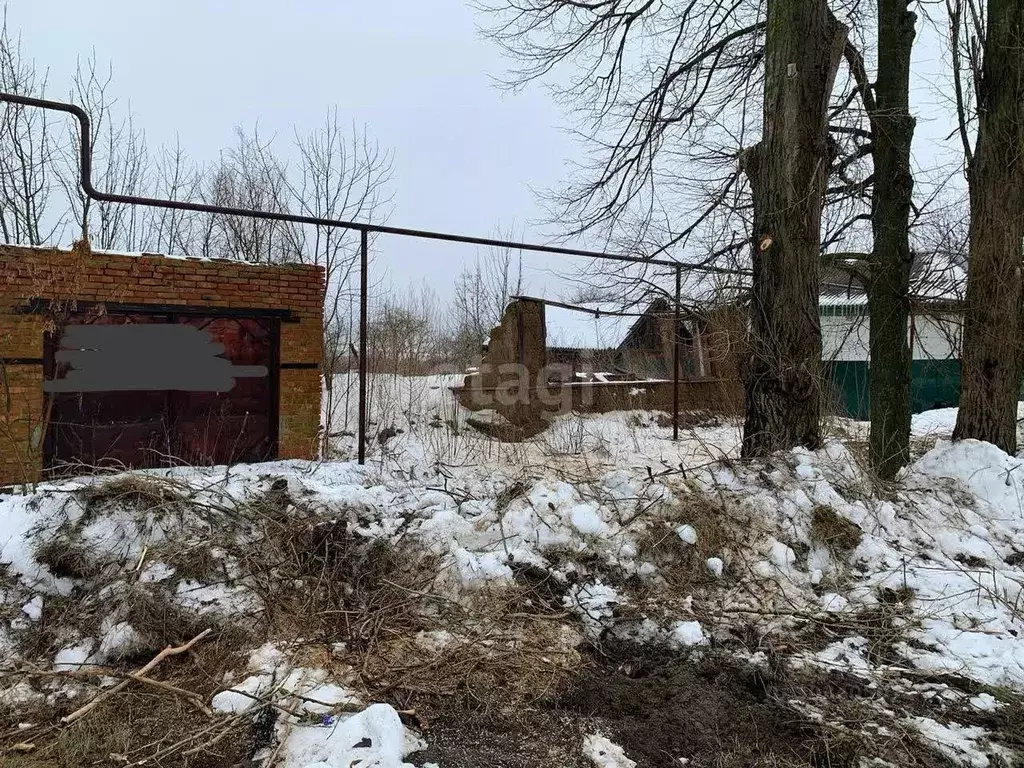 Участок в Саратовская область, Балашовский район, с. Тростянка ... - Фото 0