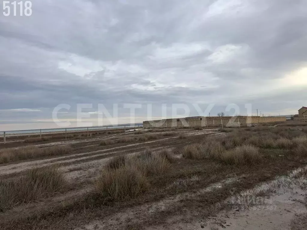 Участок в Крым, Черноморский район, с. Межводное ул. Пограничный ... - Фото 2