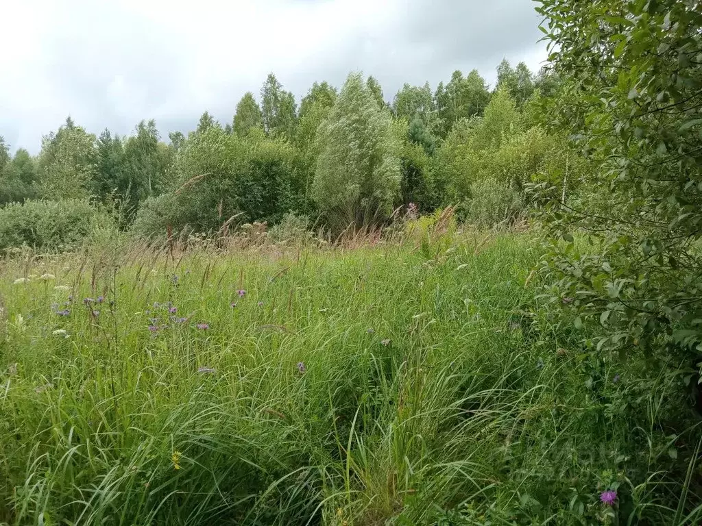 Участок в Московская область, Воскресенск городской округ, д. Бочевино ... - Фото 0