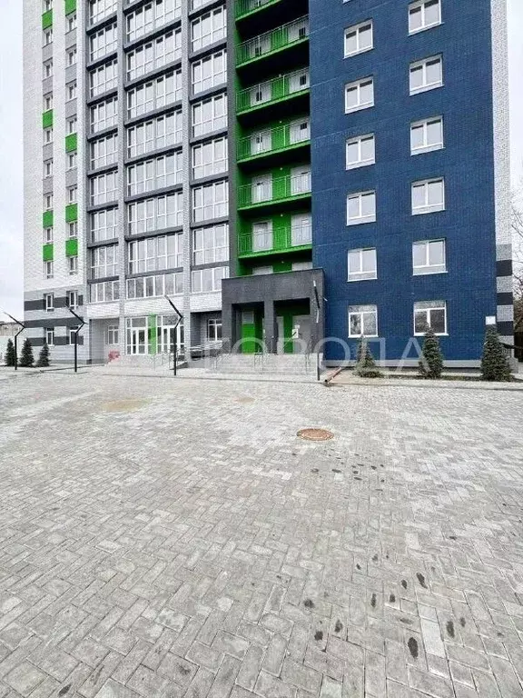 Студия Алтайский край, Барнаул ул. Смирнова, 94А (22.1 м) - Фото 2