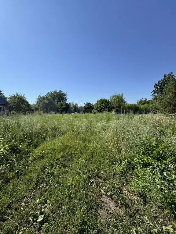 Участок 6,9 сот. (СНТ, ДНП) - Фото 0