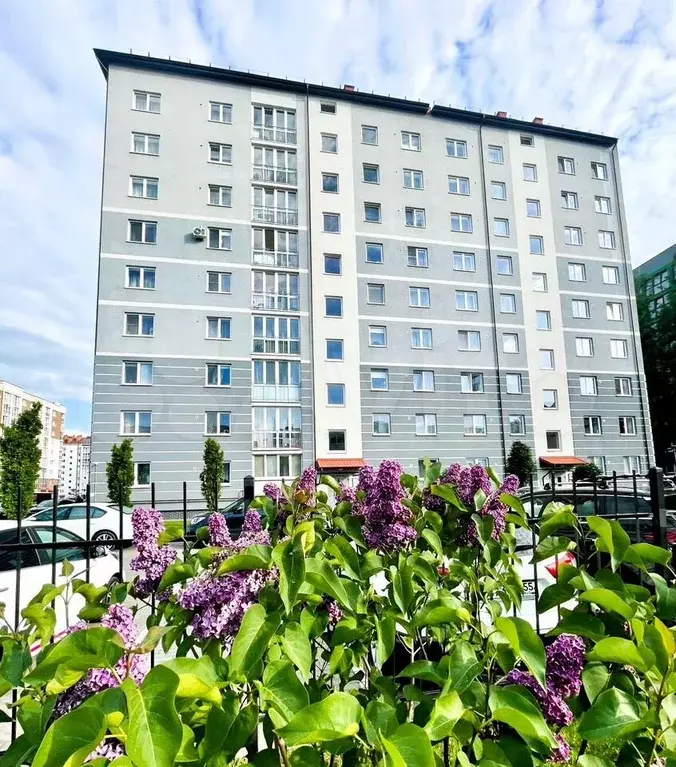 1-к. квартира, 44,6 м, 5/10 эт. - Фото 1