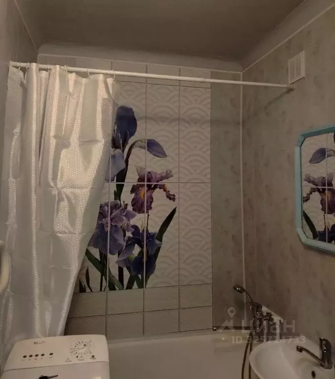 1-к кв. Нижегородская область, Нижний Новгород ул. Максима Горького, ... - Фото 1