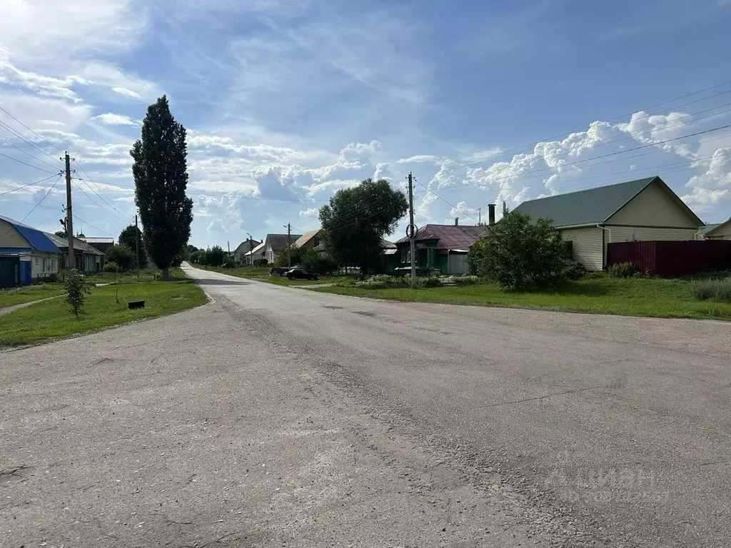 Участок в Воронежская область, Борисоглебский городской округ, с. ... - Фото 1