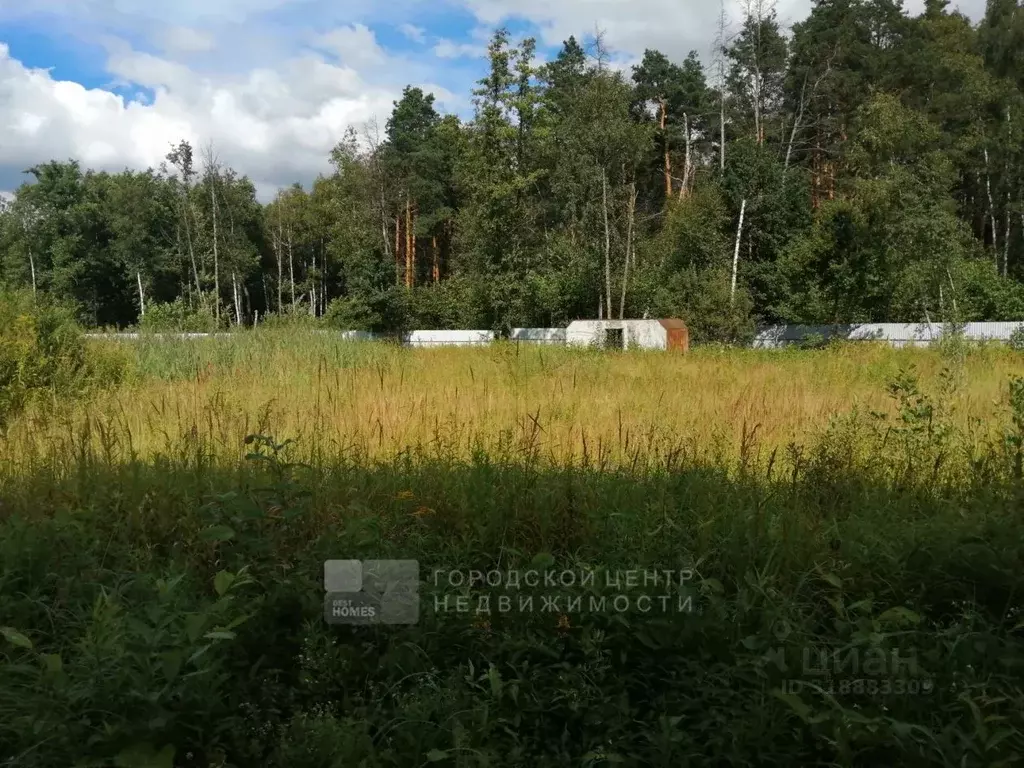 Участок в Московская область, Щелково городской округ, Мечта-2 СНТ  ... - Фото 1
