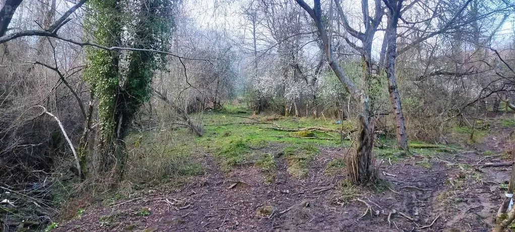 Участок в Краснодарский край, Сочи городской округ, с. Нижняя Шиловка ... - Фото 0