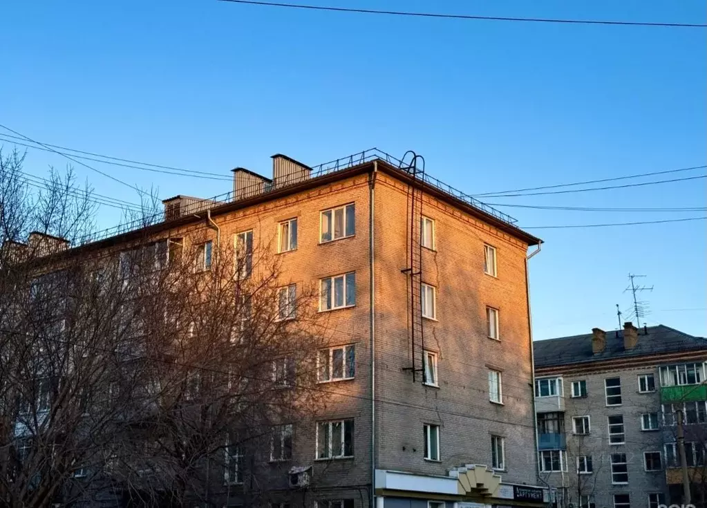 1-к кв. Алтайский край, Барнаул Брестская ул., 20/16 (32.0 м) - Фото 1