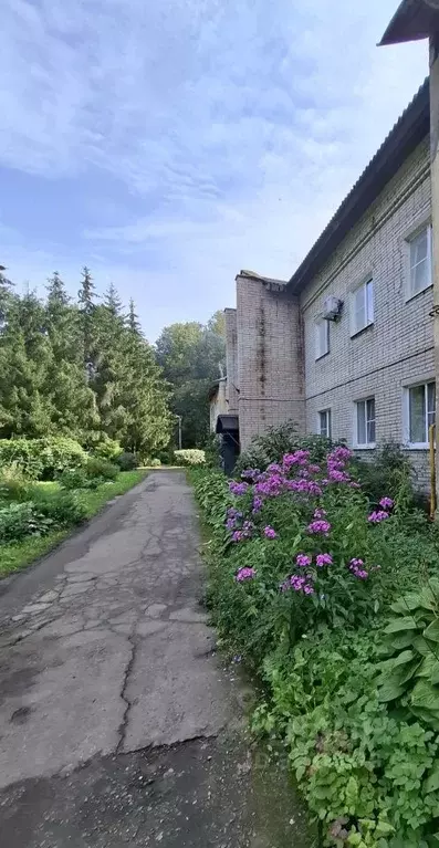 2-к кв. Новгородская область, Новгородский район, Борковское с/пос, д. ... - Фото 1