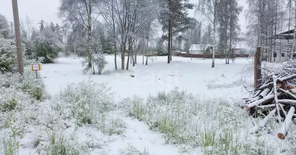 Участок в Ленинградская область, Приозерский район, Громовское с/пос, ... - Фото 1