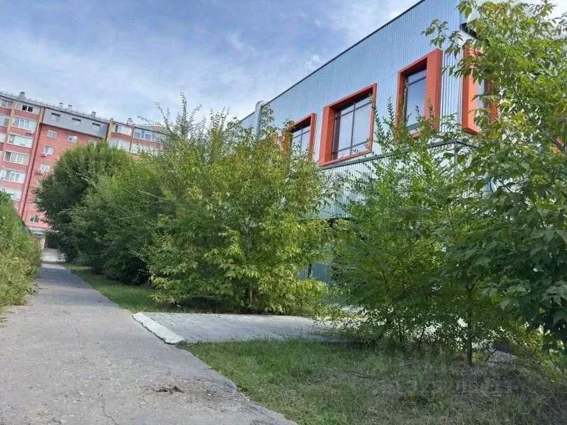 Помещение свободного назначения в Тюменская область, Тюмень ... - Фото 2