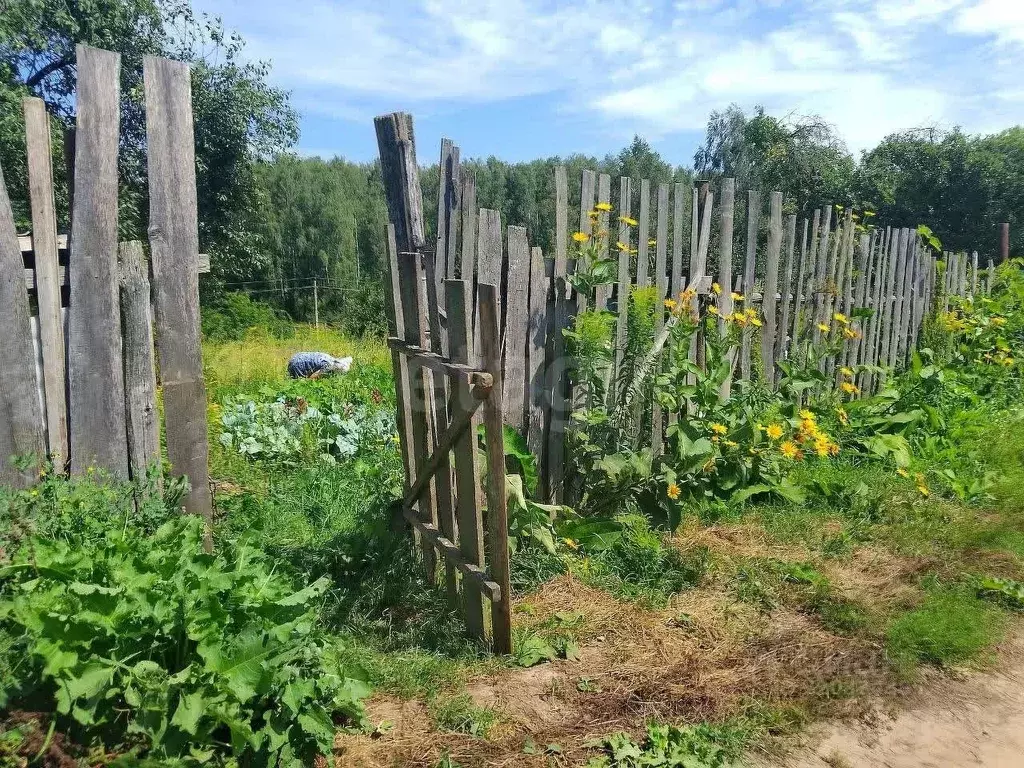 Участок в Брянская область, Брянский район, Мичуринское с/пос, ... - Фото 1