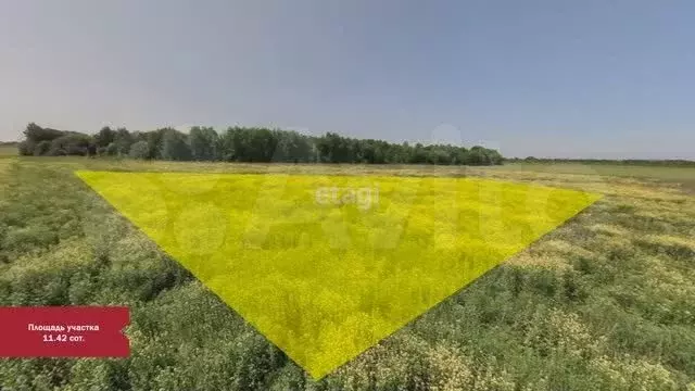 Участок 11,4 сот. (ИЖС) - Фото 1