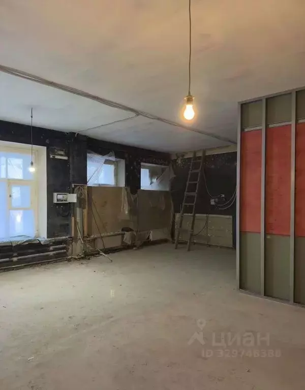 Помещение свободного назначения в Санкт-Петербург Большая Конюшенная ... - Фото 2