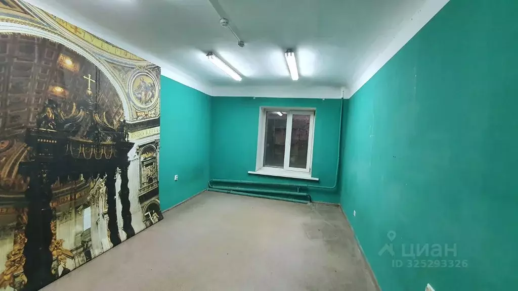 Помещение свободного назначения в Новосибирская область, Новосибирск ... - Фото 1