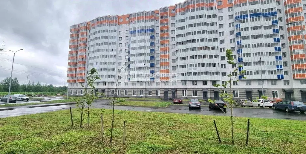 Студия Ленинградская область, Всеволожский район, Заневское городское ... - Фото 0