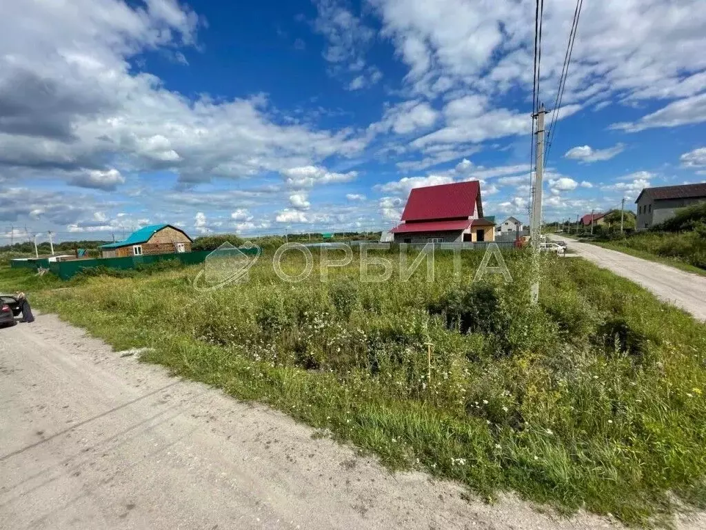 Участок в Тюменская область, Тюменский район, с. Борки ул. Луговая ... - Фото 0