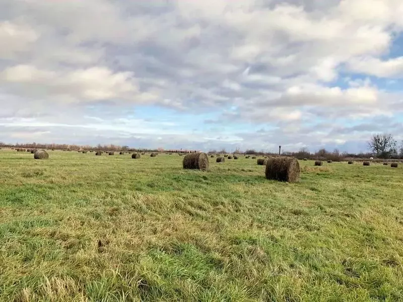 Участок в Калининградская область, Полесский муниципальный округ, пос. ... - Фото 1