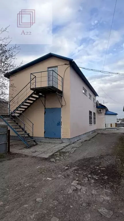 Торговая площадь в Алтайский край, Топчихинский район, с. Топчиха ул. ... - Фото 2