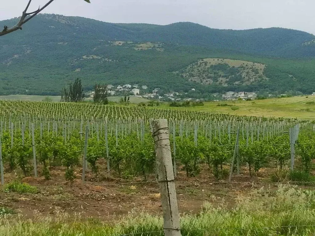 3-к кв. Севастополь, Севастополь, Балаклава г. ул. Строительная, 45 ... - Фото 0
