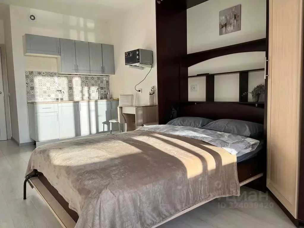 Студия Санкт-Петербург просп. Ветеранов, 181 (24.0 м) - Фото 1