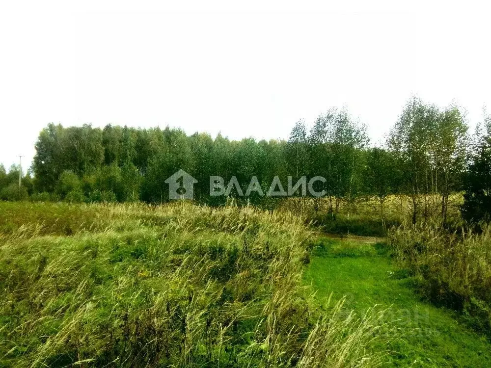 Участок в Владимирская область, Суздальский район, Селецкое ... - Фото 2