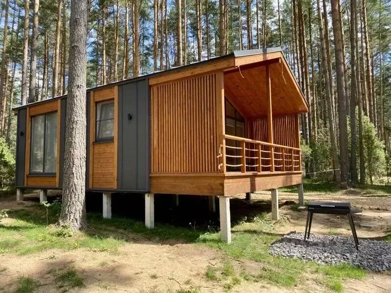 Дом в Псковская область, Гдов  (36 м) - Фото 1