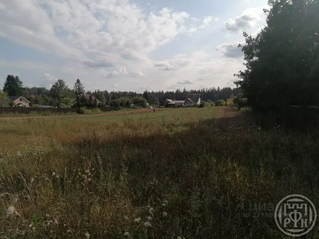 Участок в Ленинградская область, Лужский район, Володарское с/пос ... - Фото 2