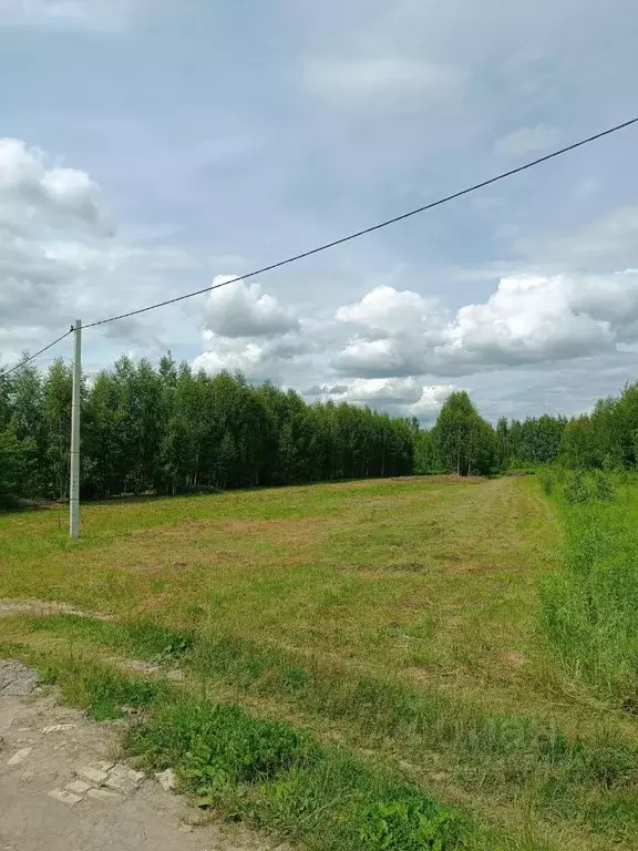 Участок в Нижегородская область, Городецкий муниципальный округ, д. ... - Фото 1