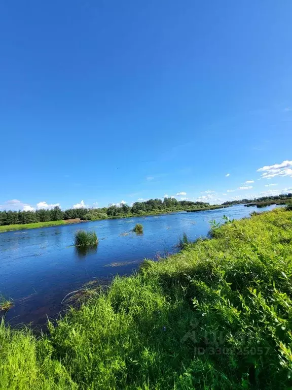 Участок в Псковская область, Палкинский муниципальный округ, д. ... - Фото 2