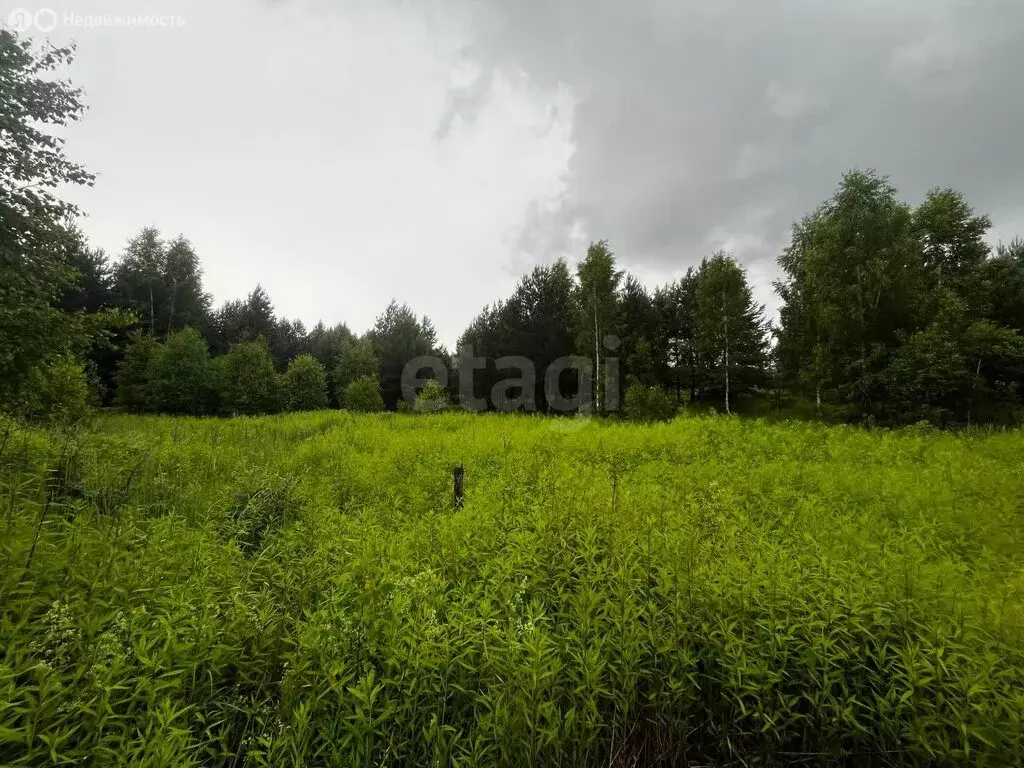 Участок в Зеленодольск, СНТ Трудовик (5 м) - Фото 1