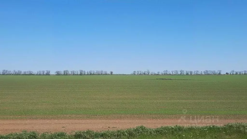 Участок в Крым, Сакский район, с. Кольцово ул. Новые Черемушки ... - Фото 1