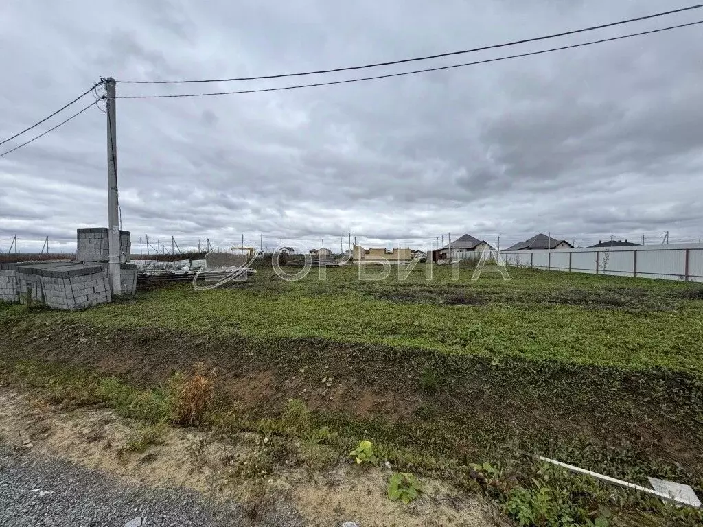 Участок в Тюменская область, Тюменский муниципальный округ, с. Успенка ... - Фото 2