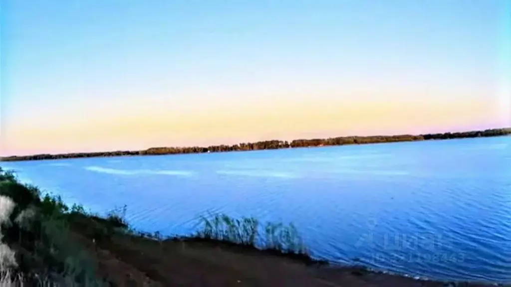 Участок в Оренбургская область, Илекский район, пос. Димитровский ... - Фото 1