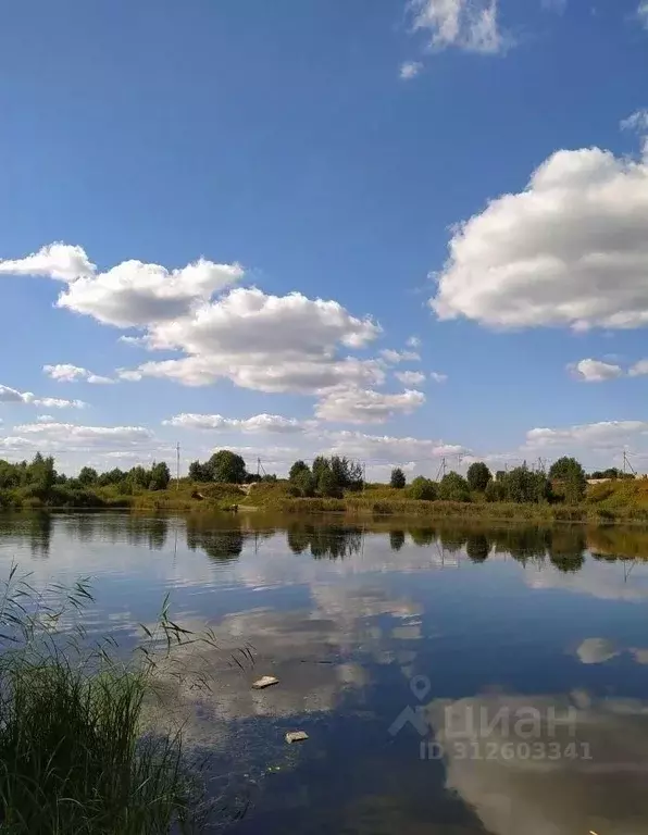 Участок в Ленинградская область, Гатчинский район, Бавария кп  (8.0 ... - Фото 0