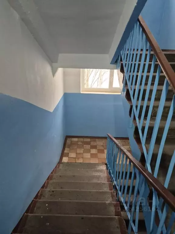 2-к кв. Архангельская область, Приморский муниципальный округ, пос. ... - Фото 2